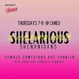 Shelarious Shenanigans  - comedian