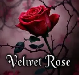 Velvet Rose - comedian
